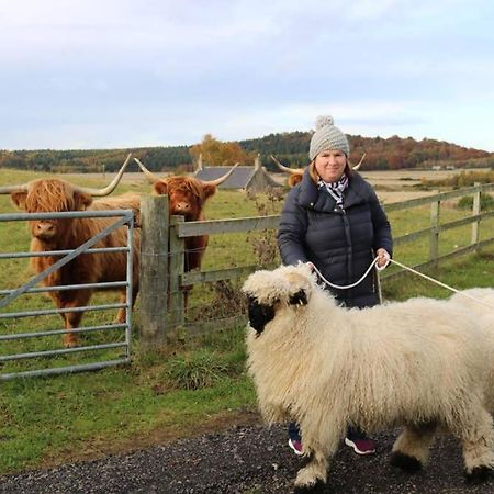 Villa Glampods Glamping Pod - Meet Highland Cows And Sheep Elgin Extérieur photo