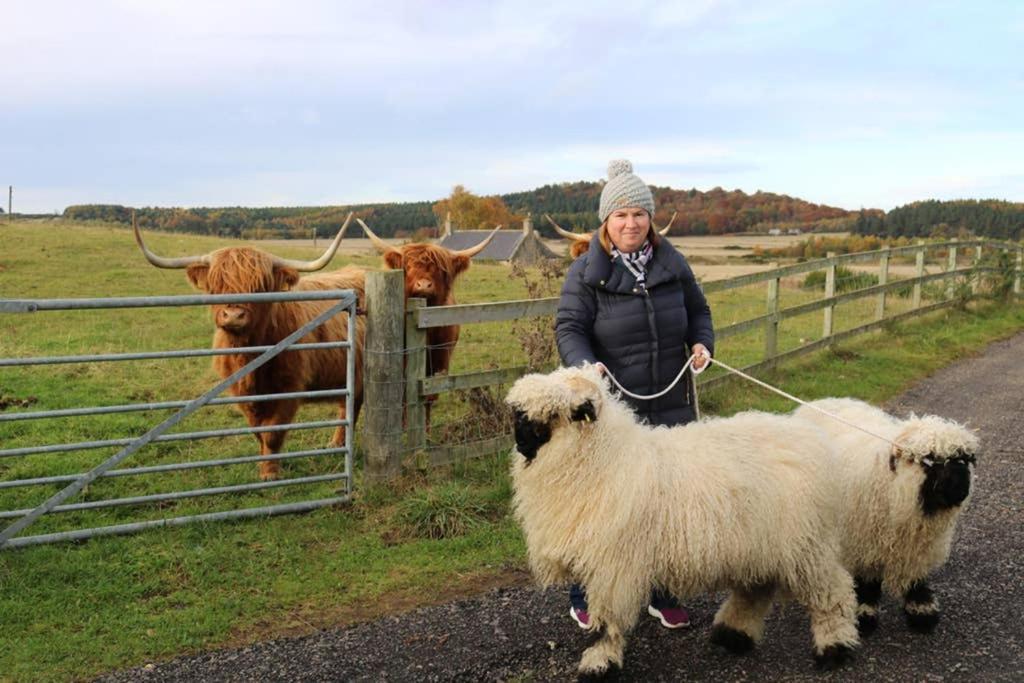 Villa Glampods Glamping Pod - Meet Highland Cows And Sheep Elgin Extérieur photo