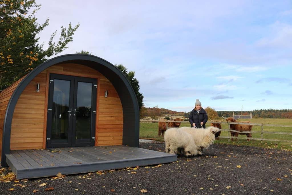 Villa Glampods Glamping Pod - Meet Highland Cows And Sheep Elgin Extérieur photo